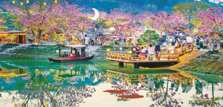 厦门同安：浪漫花海