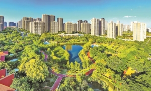 厦门：民生温度浸润肌理 全域焕新筑梦翔安